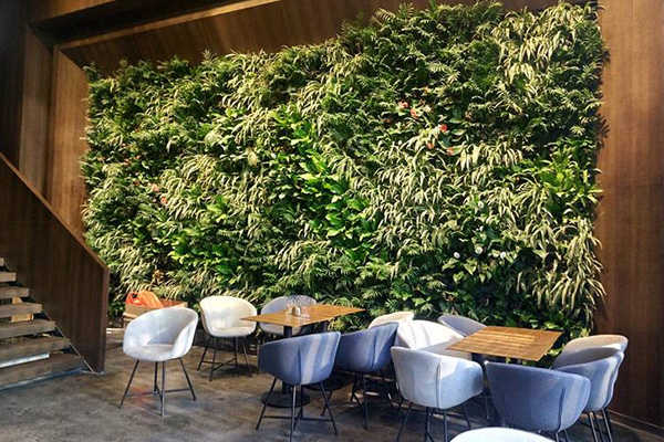 成都酒店設計公司論酒店綠化設計的作用1