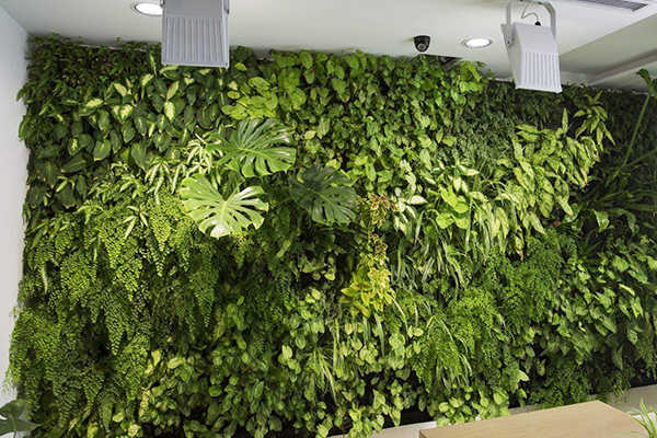 成都酒店設計公司論酒店綠化設計的作用2