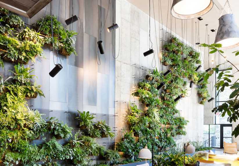 酒店植物墻裝修設計